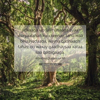 Picture 07 - Yeremyaah 4:18 SOM - Jidkaaga iyo falimahaaga ayaa waxyaalahan kuu - Bible Verse Picture