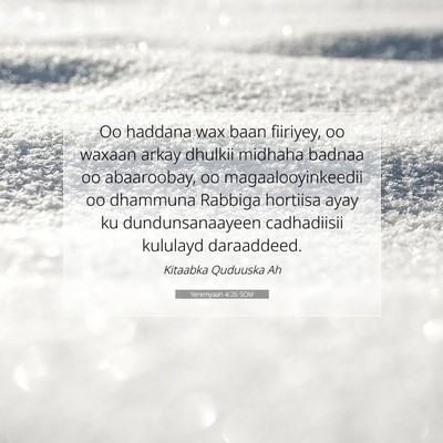 Picture 07 - Yeremyaah 4:26 SOM - Oo haddana wax baan fiiriyey, oo waxaan arkay - Bible Verse Picture