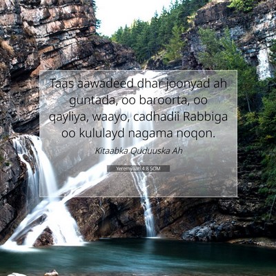 Picture 07 - Yeremyaah 4:8 SOM - Taas aawadeed dhar joonyad ah guntada, oo - Bible Verse Picture