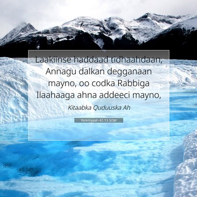 Picture 07 - Yeremyaah 42:13 SOM - Laakiinse haddaad tidhaahdaan, Annagu dalkan - Bible Verse Picture