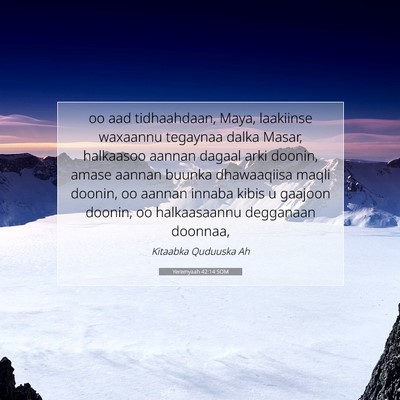 Picture 07 - Yeremyaah 42:14 SOM - oo aad tidhaahdaan, Maya, laakiinse waxaannu - Bible Verse Picture