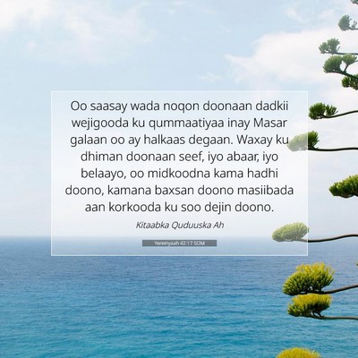 Picture 07 - Yeremyaah 42:17 SOM - Oo saasay wada noqon doonaan dadkii wejigooda ku - Bible Verse Picture