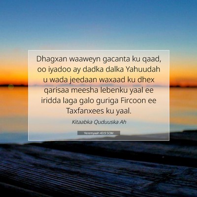Picture 07 - Yeremyaah 43:9 SOM - Dhagxan waaweyn gacanta ku qaad, oo iyadoo ay - Bible Verse Picture