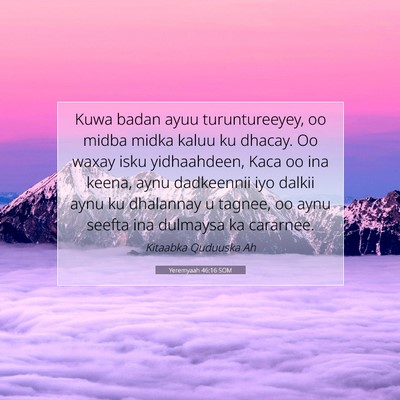 Picture 07 - Yeremyaah 46:16 SOM - Kuwa badan ayuu turuntureeyey, oo midba midka - Bible Verse Picture