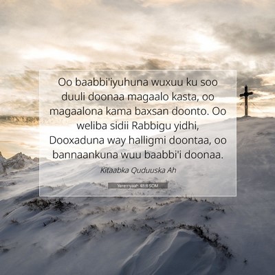 Picture 07 - Yeremyaah 48:8 SOM - Oo baabbi'iyuhuna wuxuu ku soo duuli doonaa - Bible Verse Picture