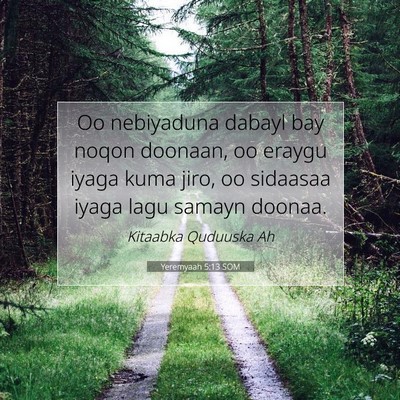 Picture 07 - Yeremyaah 5:13 SOM - Oo nebiyaduna dabayl bay noqon doonaan, oo eraygu - Bible Verse Picture