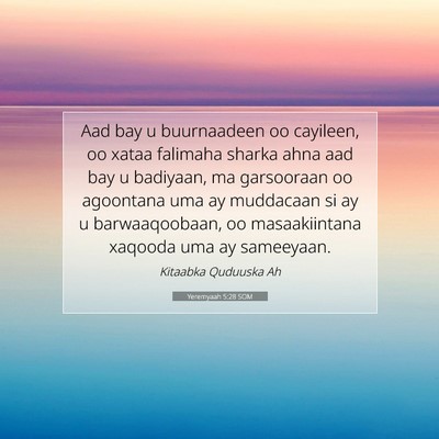 Picture 07 - Yeremyaah 5:28 SOM - Aad bay u buurnaadeen oo cayileen, oo xataa - Bible Verse Picture