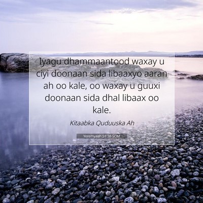 Picture 07 - Yeremyaah 51:38 SOM - Iyagu dhammaantood waxay u ciyi doonaan sida - Bible Verse Picture