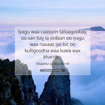 Picture 07 - Yeremyaah 6:28 SOM - Iyagu waa caasiyiin fallaagoobay, oo xan bay la - Bible Verse Picture