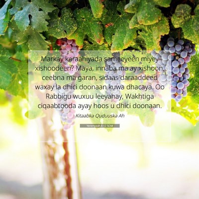 Picture 07 - Yeremyaah 8:12 SOM - Markay karaahiyada sameeyeen miyey xishoodeen? - Bible Verse Picture