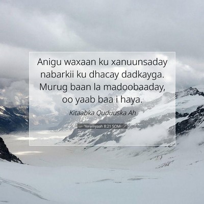 Picture 07 - Yeremyaah 8:21 SOM - Anigu waxaan ku xanuunsaday nabarkii ku dhacay - Bible Verse Picture