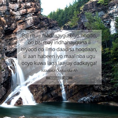 Picture 07 - Yeremyaah 9:1 SOM - Bal muu madaxaygu biyo noqdo, oo bal may - Bible Verse Picture