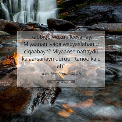 Picture 07 - Yeremyaah 9:9 SOM - Rabbigu wuxuu leeyahay, Miyaanan iyaga - Bible Verse Picture