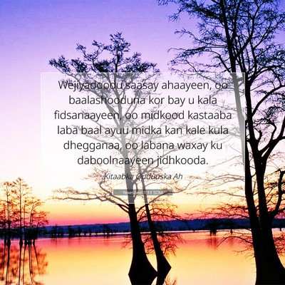 Picture 07 - Yexesqeel 1:11 SOM - Wejiyadoodu saasay ahaayeen, oo baalashooduna kor - Bible Verse Picture