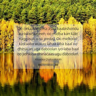 Picture 07 - Yexesqeel 1:23 SOM - Oo cirka hoostiisa ayaa baalashoodu ku - Bible Verse Picture