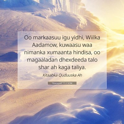 Picture 07 - Yexesqeel 11:2 SOM - Oo markaasuu igu yidhi, Wiilka Aadamow, kuwaasu - Bible Verse Picture