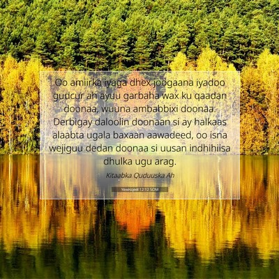 Picture 07 - Yexesqeel 12:12 SOM - Oo amiirka iyaga dhex joogaana iyadoo gudcur ah - Bible Verse Picture