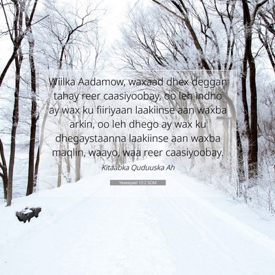 Picture 07 - Yexesqeel 12:2 SOM - Wiilka Aadamow, waxaad dhex deggan tahay reer - Bible Verse Picture