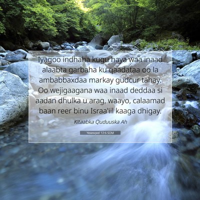Picture 07 - Yexesqeel 12:6 SOM - Iyagoo indhaha kugu haya waa inaad alaabta - Bible Verse Picture