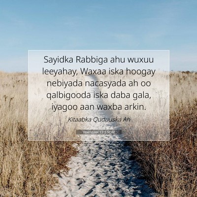 Picture 07 - Yexesqeel 13:3 SOM - Sayidka Rabbiga ahu wuxuu leeyahay, Waxaa iska - Bible Verse Picture
