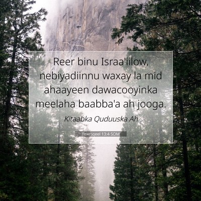 Picture 07 - Yexesqeel 13:4 SOM - Reer binu Israa'iilow, nebiyadiinnu waxay la mid - Bible Verse Picture