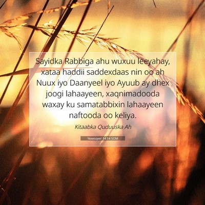 Picture 07 - Yexesqeel 14:14 SOM - Sayidka Rabbiga ahu wuxuu leeyahay, xataa haddii - Bible Verse Picture