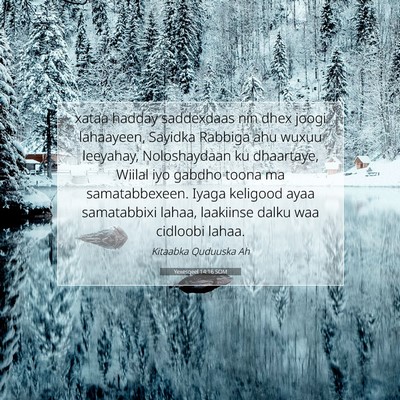 Picture 07 - Yexesqeel 14:16 SOM - xataa hadday saddexdaas nin dhex joogi lahaayeen, - Bible Verse Picture