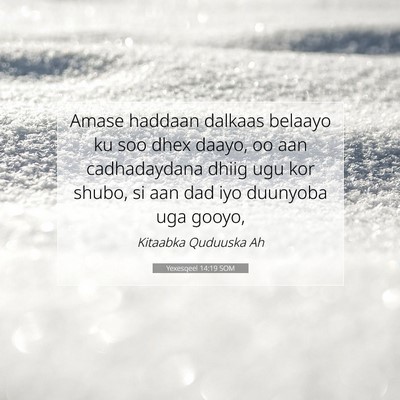 Picture 07 - Yexesqeel 14:19 SOM - Amase haddaan dalkaas belaayo ku soo dhex daayo, - Bible Verse Picture