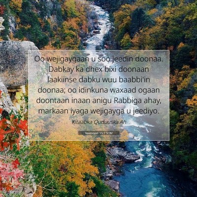 Picture 07 - Yexesqeel 15:7 SOM - Oo wejigaygaan u soo jeedin doonaa. Dabkay ka - Bible Verse Picture