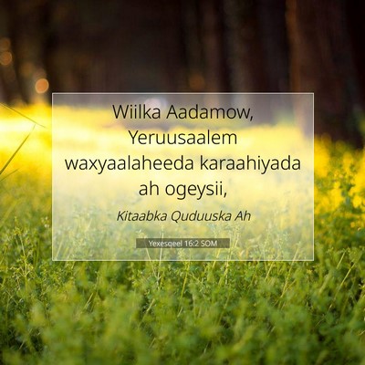 Picture 07 - Yexesqeel 16:2 SOM - Wiilka Aadamow, Yeruusaalem waxyaalaheeda - Bible Verse Picture