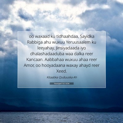 Picture 07 - Yexesqeel 16:3 SOM - oo waxaad ku tidhaahdaa, Sayidka Rabbiga ahu - Bible Verse Picture