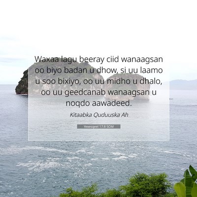 Picture 07 - Yexesqeel 17:8 SOM - Waxaa lagu beeray ciid wanaagsan oo biyo badan u - Bible Verse Picture
