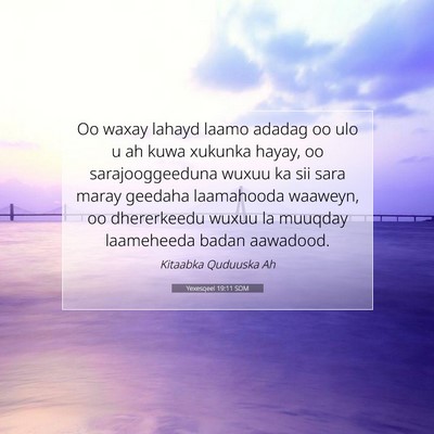 Picture 07 - Yexesqeel 19:11 SOM - Oo waxay lahayd laamo adadag oo ulo u ah kuwa - Bible Verse Picture
