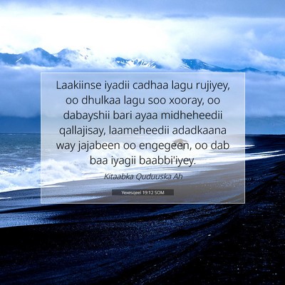 Picture 07 - Yexesqeel 19:12 SOM - Laakiinse iyadii cadhaa lagu rujiyey, oo dhulkaa - Bible Verse Picture