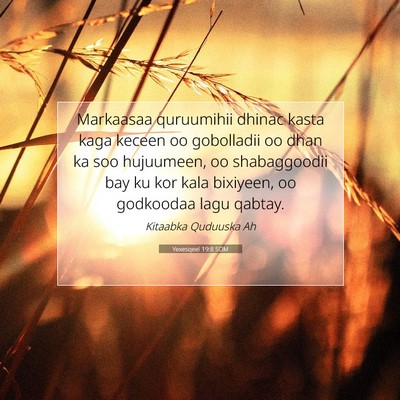 Picture 07 - Yexesqeel 19:8 SOM - Markaasaa quruumihii dhinac kasta kaga keceen oo - Bible Verse Picture