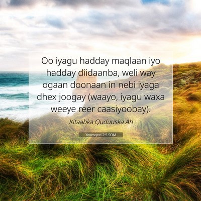Picture 07 - Yexesqeel 2:5 SOM - Oo iyagu hadday maqlaan iyo hadday diidaanba, - Bible Verse Picture