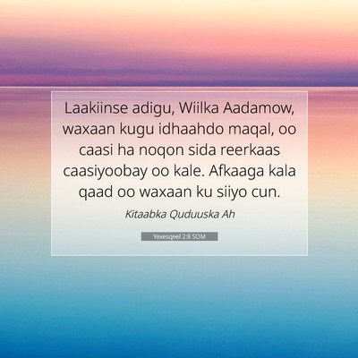 Picture 07 - Yexesqeel 2:8 SOM - Laakiinse adigu, Wiilka Aadamow, waxaan kugu - Bible Verse Picture