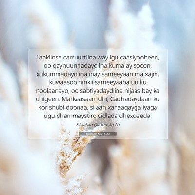 Picture 07 - Yexesqeel 20:21 SOM - Laakiinse carruurtiina way igu caasiyoobeen, oo - Bible Verse Picture