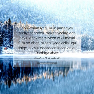 Picture 07 - Yexesqeel 20:26 SOM - oo waxaan iyagii ku nijaaseeyey hadiyadahoodii, - Bible Verse Picture