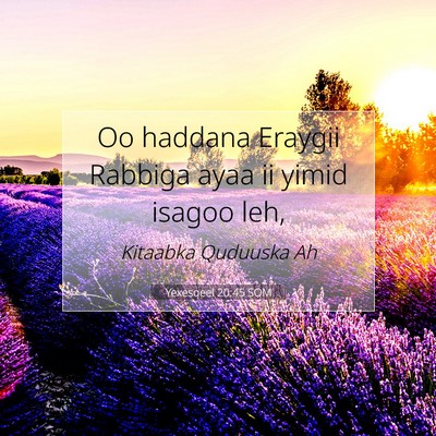 Picture 07 - Yexesqeel 20:45 SOM - Oo haddana Eraygii Rabbiga ayaa ii yimid isagoo - Bible Verse Picture