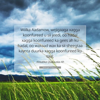 Picture 07 - Yexesqeel 20:46 SOM - Wiilka Aadamow, wejigaaga xagga koonfureed u sii - Bible Verse Picture