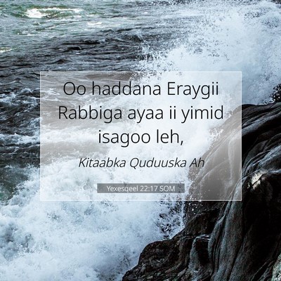 Picture 07 - Yexesqeel 22:17 SOM - Oo haddana Eraygii Rabbiga ayaa ii yimid isagoo - Bible Verse Picture