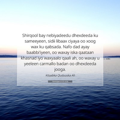 Picture 07 - Yexesqeel 22:25 SOM - Shirqool bay nebiyadeedu dhexdeeda ku sameeyeen, - Bible Verse Picture