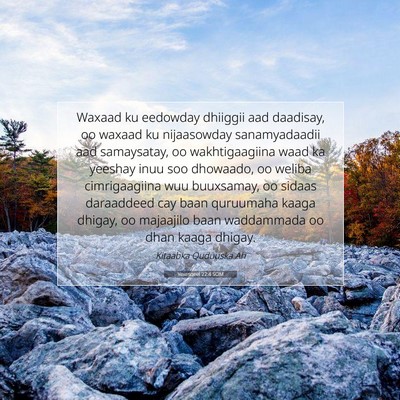 Picture 07 - Yexesqeel 22:4 SOM - Waxaad ku eedowday dhiiggii aad daadisay, oo - Bible Verse Picture