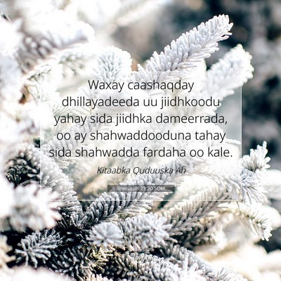 Picture 07 - Yexesqeel 23:20 SOM - Waxay caashaqday dhillayadeeda uu jiidhkoodu - Bible Verse Picture