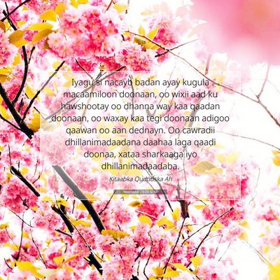 Picture 07 - Yexesqeel 23:29 SOM - Iyagu si nacayb badan ayay kugula macaamiloon - Bible Verse Picture