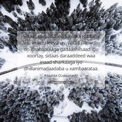 Picture 07 - Yexesqeel 23:35 SOM - Sidaas daraaddeed Sayidka Rabbiga ahu wuxuu - Bible Verse Picture
