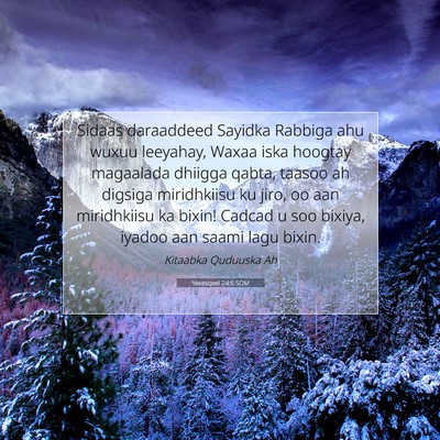 Picture 07 - Yexesqeel 24:6 SOM - Sidaas daraaddeed Sayidka Rabbiga ahu wuxuu - Bible Verse Picture