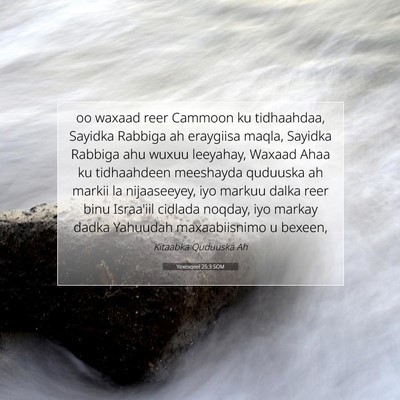 Picture 07 - Yexesqeel 25:3 SOM - oo waxaad reer Cammoon ku tidhaahdaa, Sayidka - Bible Verse Picture