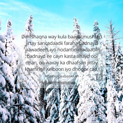 Picture 07 - Yexesqeel 27:18 SOM - Dimishaqna way kula baayacmushtari jirtay - Bible Verse Picture